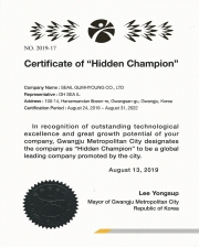 Certificate of "HIdden Champion"